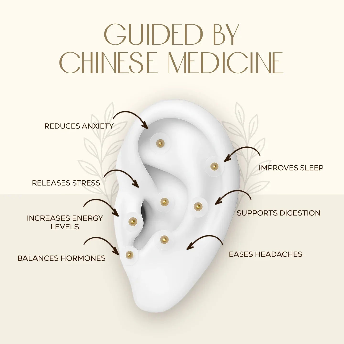 Ear Seed Kit