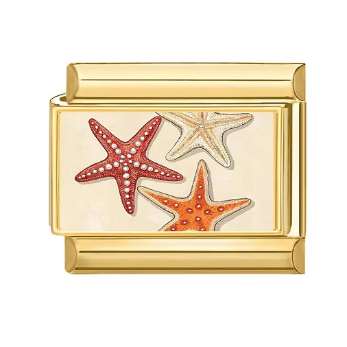 Triple Starfish