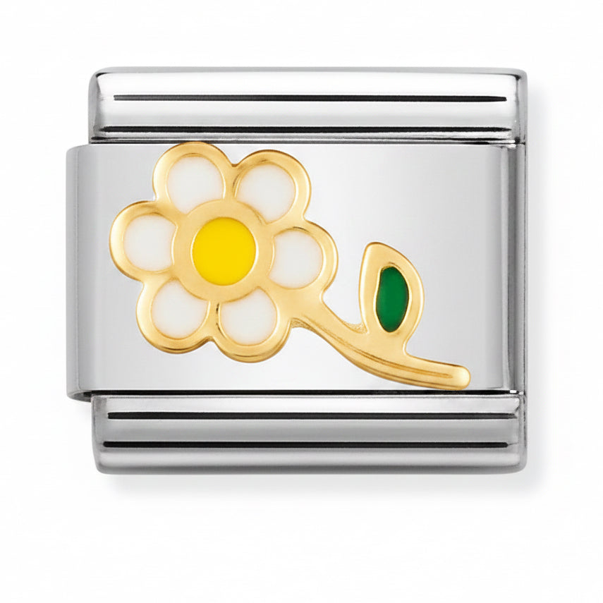 WHITE DAISY